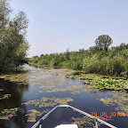 DSCN8306.JPG