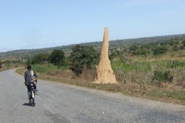 [DSCF7189%255B5%255D.jpg]