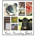 Your Sunday Best Your Sunday Best