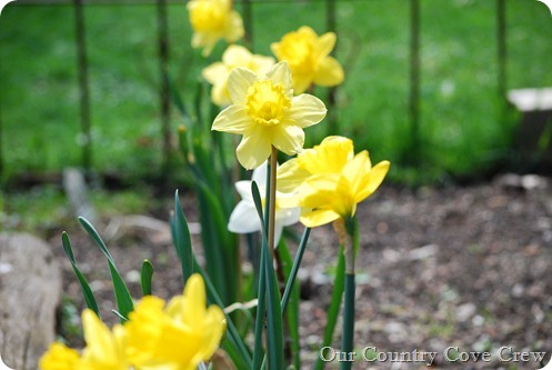 DSC_0028 DSC_0028