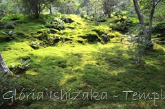 28 - Glória Ishizaka - Arashiyama e Sagano - Kyoto - 2012