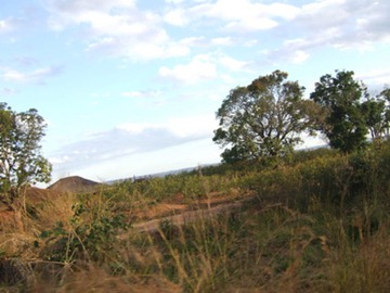 [DSCF7276%255B5%255D.jpg]