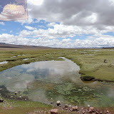 Altiplanico - Rodovia que liga Arequipa a Chivay - Peru