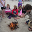 DSCF3633.JPG