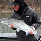 Dropping River Levels Steven%252527s%252520Steel Dropping River Levels