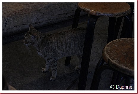 IMG_2746 IMG_2746