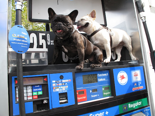 Well, let me tell you that Sharkey and I have enough 'gas' to power an entire fleet of SUVs!