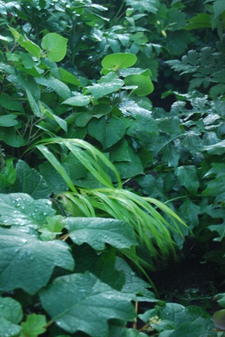 [DSC_0673%255B2%255D.jpg]