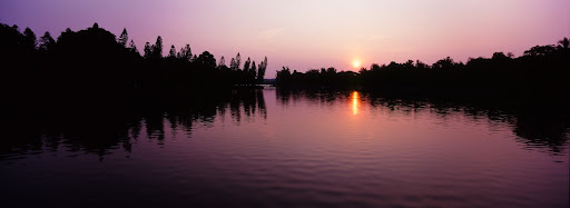 84320003-2011-08-29-14-26.jpg