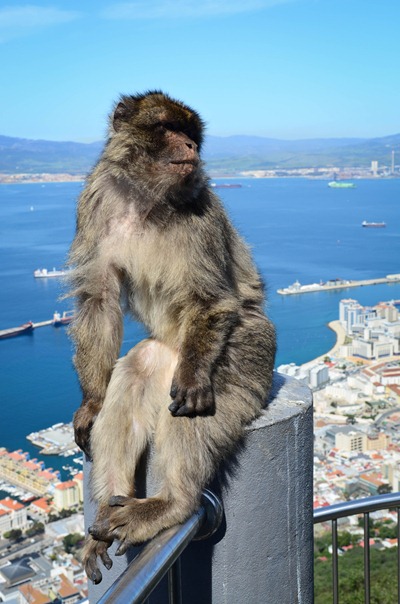 gibraltar2