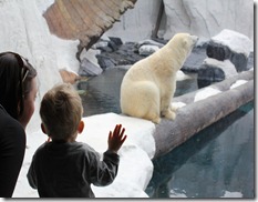 IMG_4073 IMG_4073