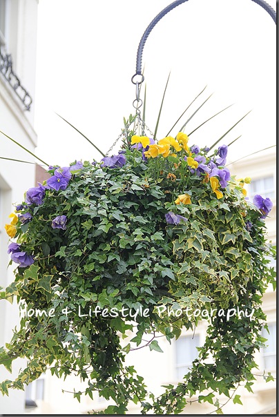 Home & Lifestyle Home & Lifestyle