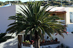 Tenerife 2011. February. Tenerife 2011. February.