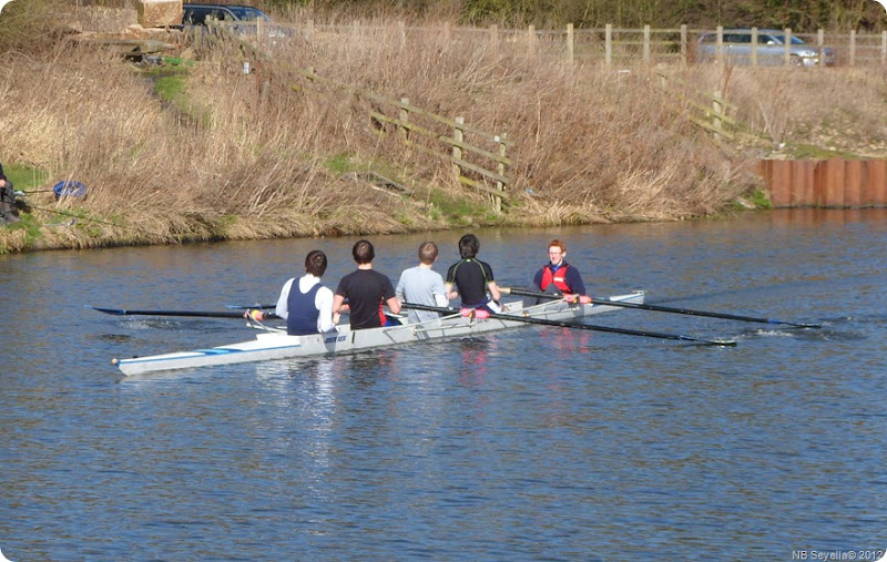 SAM_0043 Coxed Four