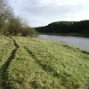 dsc06937.jpg