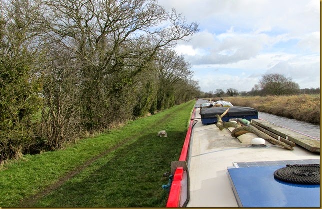 IMG_3624 IMG_3624