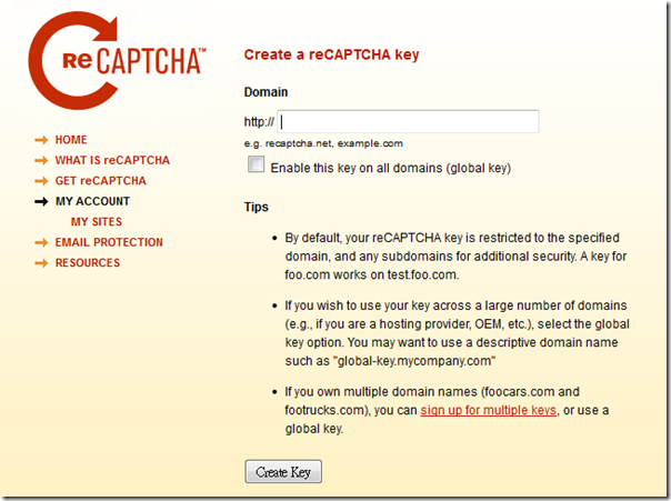 ReCaptcha02