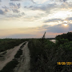 IMG_8177.JPG