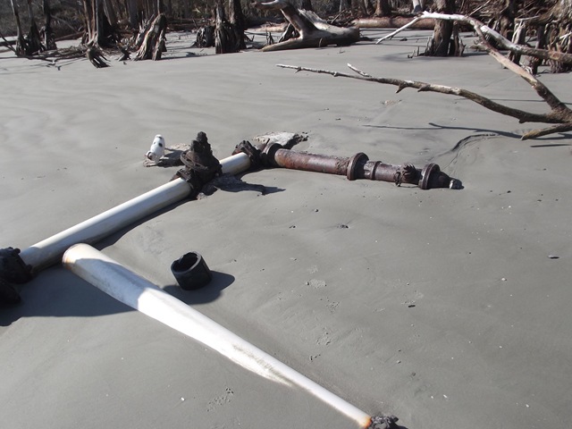 [ThursdayFridayHuntingIsland0713.jpg]