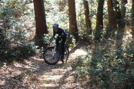 登りはまだ苦労してます