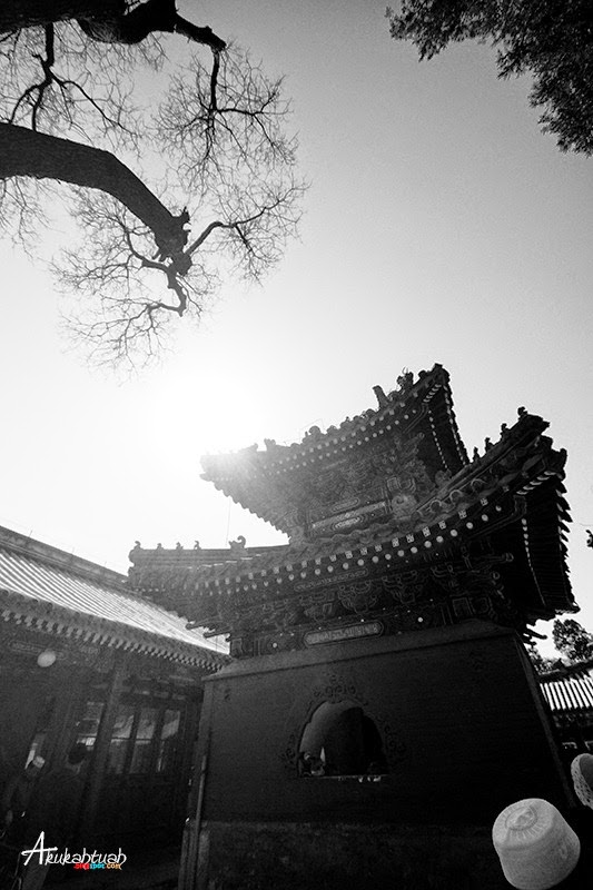 DSC02564 DSC02564