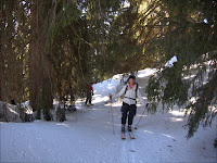 IMG_7710.jpg Photo