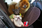 It's Road Trip Time!