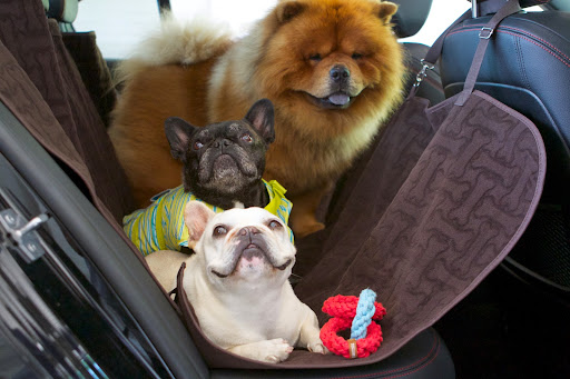 Here we are all ready to take a road trip to Lily Pond, our home in East Hampton. The three of us are sitting comfortably in the back seat in the Car Seat Hammock. Here we are all ready to take a road trip to Lily Pond, our home in East Hampton. The three of us are sitting comfortably in the back seat in the Car Seat Hammock.