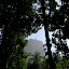 A view of Christ the Redeemer from Parque Lage.