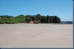 DSC_4961 DSC_4961