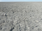 Etosha Pfanne