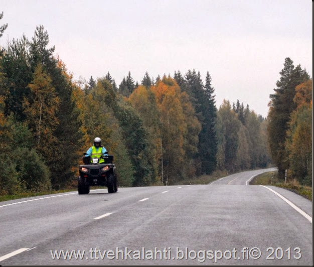 sienimetsällä 001 sienimetsällä 001