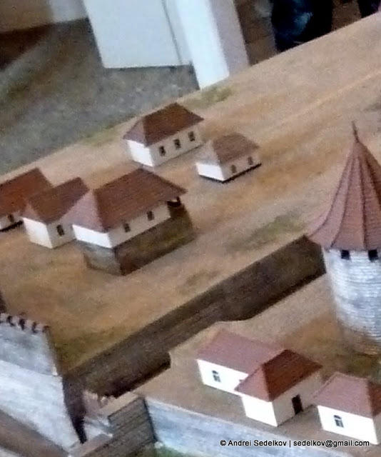 P1150776.JPG