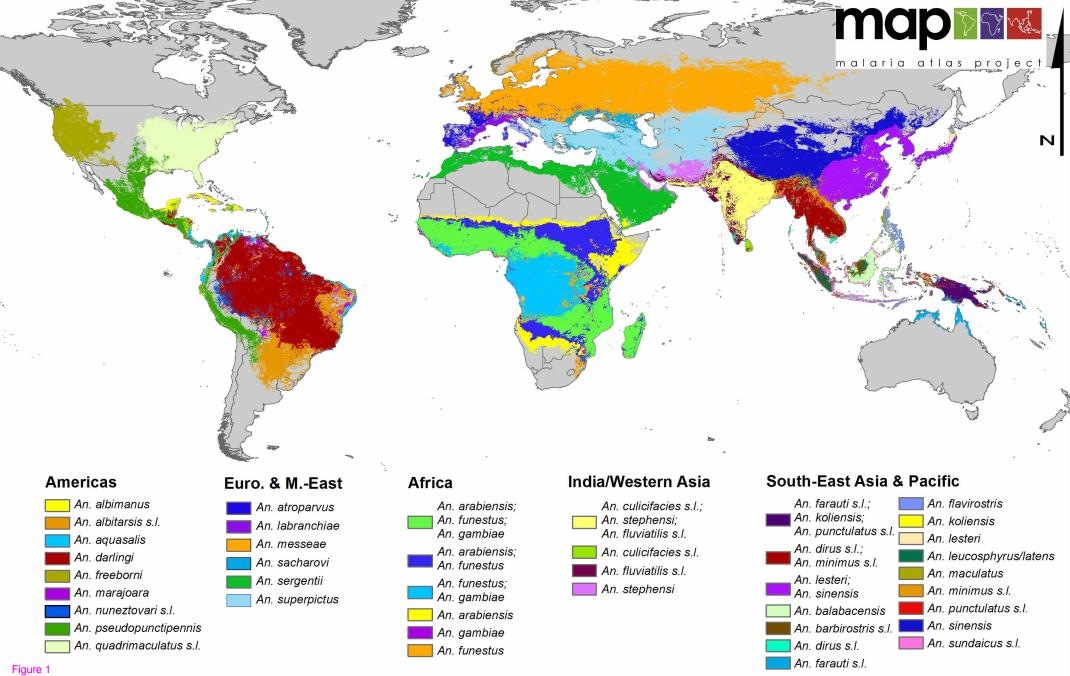 [malaria_map_global%255B4%255D.jpg]