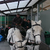 BILD0019.JPG