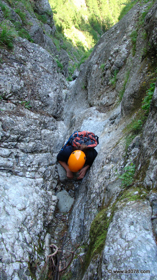 26.jpg 26.jpg