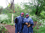 Goldman Sachs/Americorps Farragut Ave. Clean Up