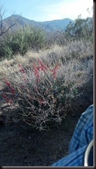 IMG_20130403_172817_639 IMG_20130403_172817_639