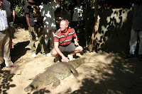 Reis-febr-2011-Krokodillen (35).JPG
