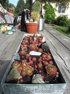 IMG_3364 IMG_3364