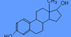 Difference between Estrogen and Progesterone  Major Differences