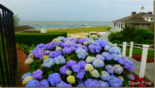 cape cod_006