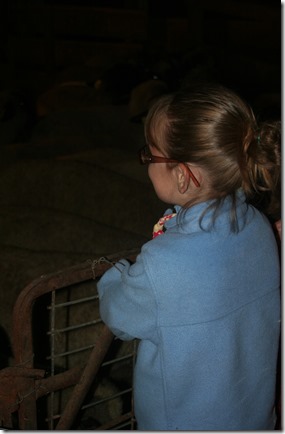 IMG_4614 IMG_4614