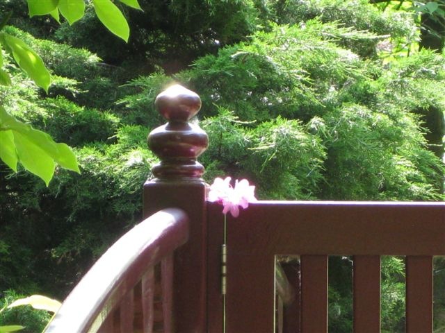 [japanischer%2520Garten%2520und%2520Rheinauen%2520037%255B4%255D.jpg]