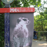 The Meerkat sign at the Nashville Zoo 09032011