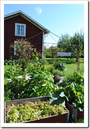 Lisas f&ouml;rsta b&aring;ttur 1.8. 2011 011