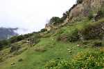 Outside of Kuelap, Chachapoyas Region, Peru