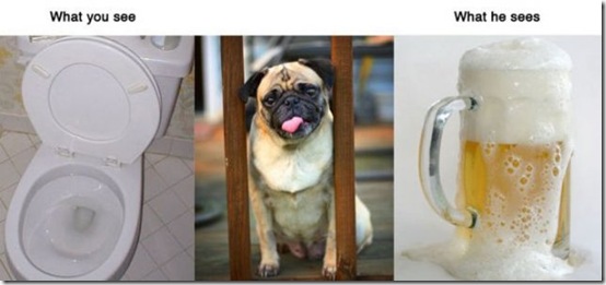 what-you-see-animals-ff5d75
