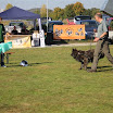 IMG_3136.JPG