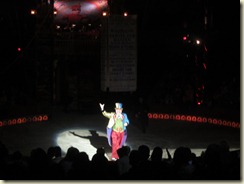 IMG_1262 IMG_1262